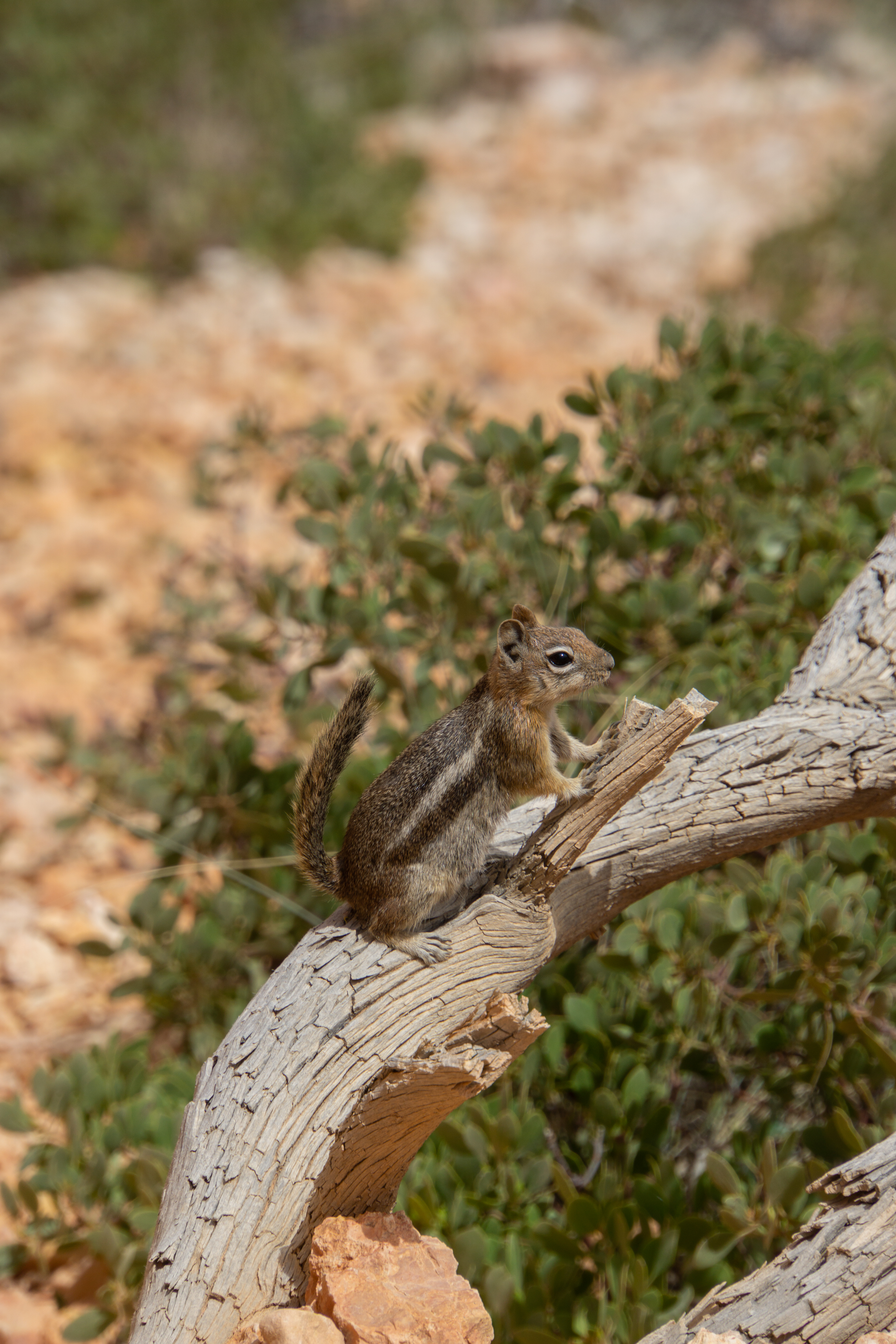 US National Parks 2022 10